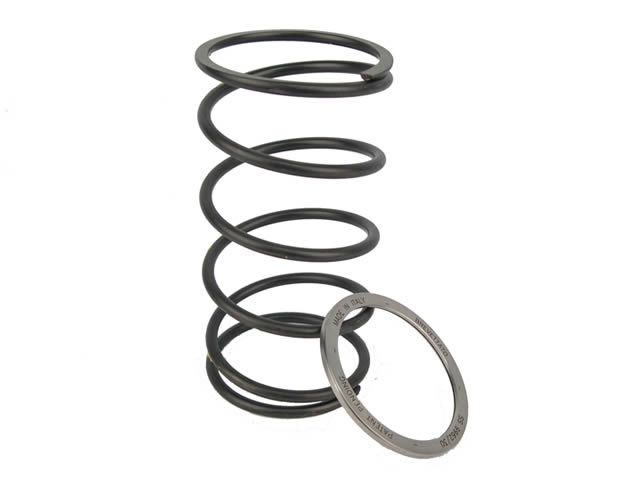 Уникальная пружина сцепления Bettella Pinasco Уникальная пружина сцепления Bettella Pinasco